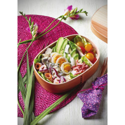 Achat 30 bentos céto