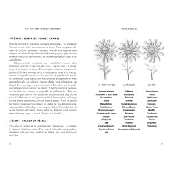 Achat Les 3 émotions qui guérissent