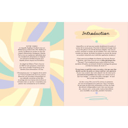 Achat Mon journal minceur IG bas