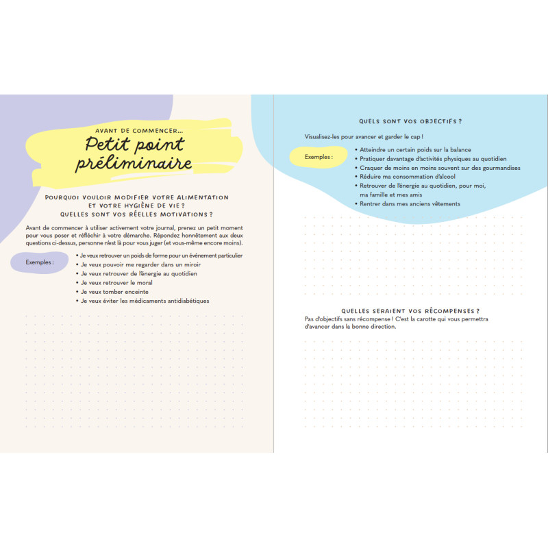 Achat Mon journal minceur IG bas