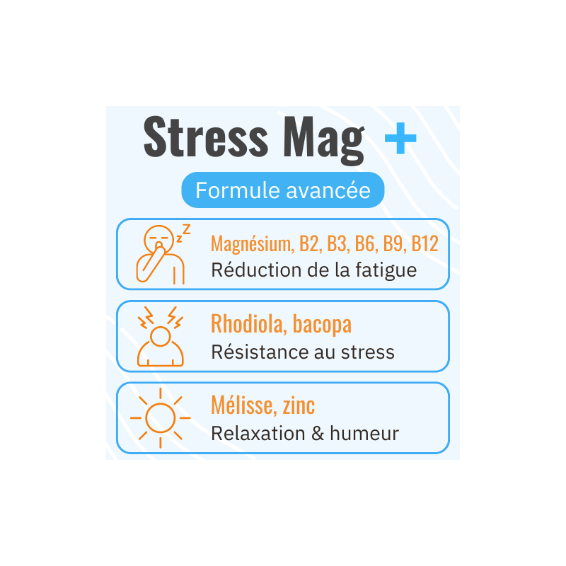 Magnésium "Stress Mag +"  gélules - Lot de 3 flacons détail bienfaits ingrédients