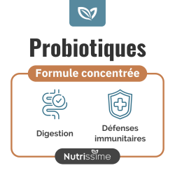 Achat Probiotiques - Équilibre de la flore intestinale - Flacon seul - Bienfaits