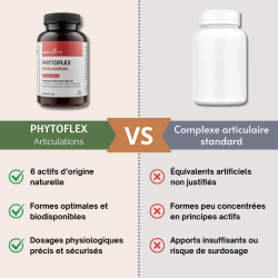 Achat Phytoflex Articulations - Gélules - Flacon seul face comparatif