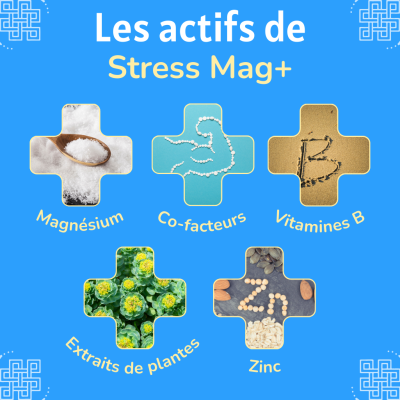 Magnésium "Stress Mag +" gélules - Lot de 3 flacons - actifs