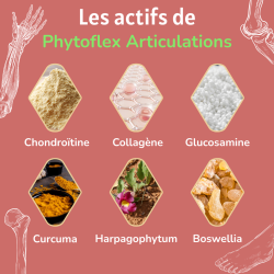 Achat Phytoflex Articulations - Gélules - Flacon seul actifs