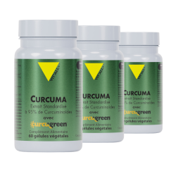 Achat Curcuma - Extrait standardisé 250 mg - Lot de 3 flacons