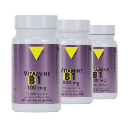 Achat Vitamine B1 100 mg - Lot de 3 flacons
