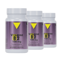 Vitamine B2 100 mg - Lot de 3 flacons