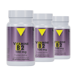 Achat Vitamine B2 100 mg - Lot de 3 flacons