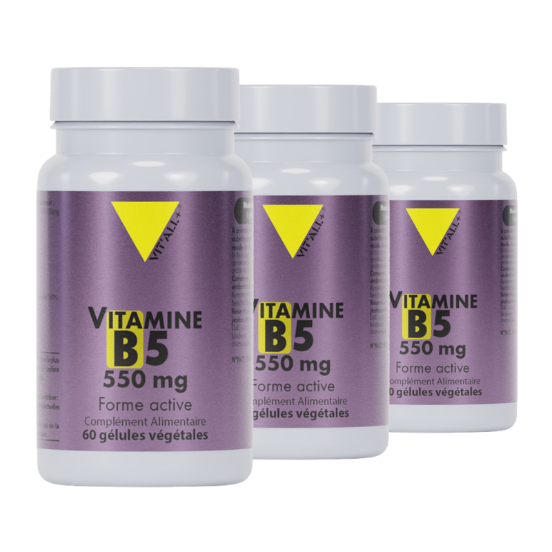 Vitamine B5 550 mg - Lot de 3 flacons  - À l'unité
