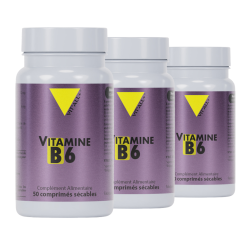 Achat Vitamine B6 - Lot de 3 flacons