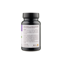 Achat Griffonia-B6 - Source de 5-HTP - 60 gélules conseil & contre indications