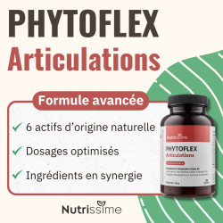Achat Phytoflex Articulations - Gélules - Flacon seul formule avancée