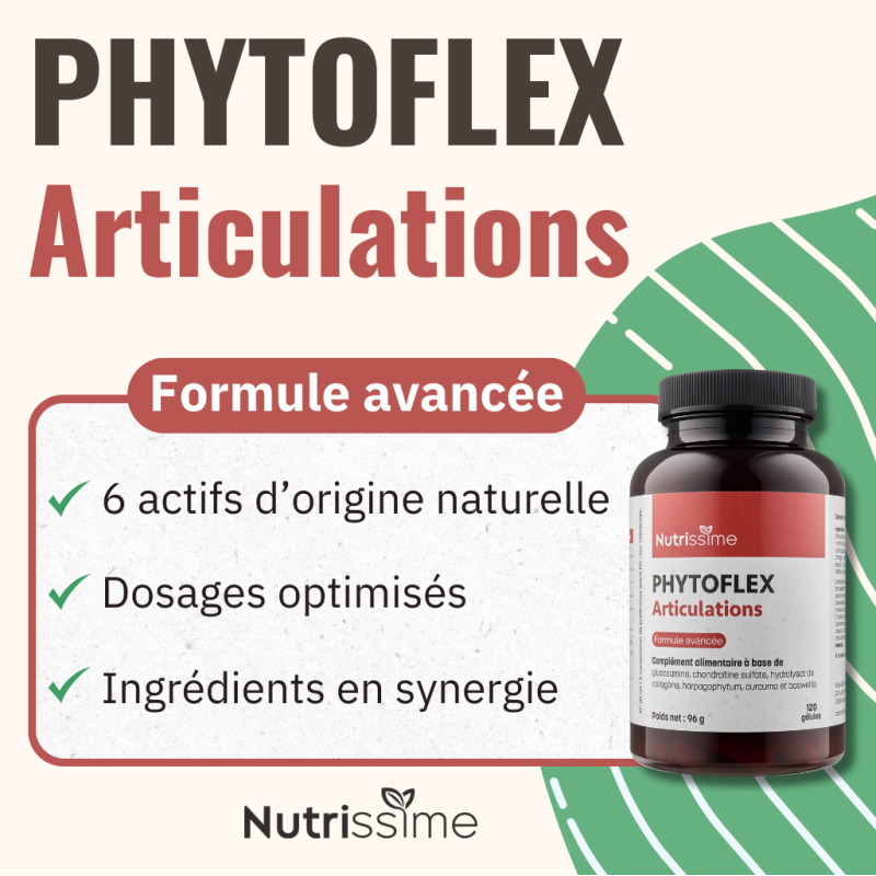 Achat Phytoflex Articulations - Gélules - Flacon seul formule avancée