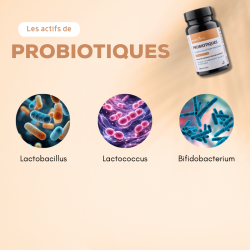 Achat Probiotiques Nutrissime - Flacon seul