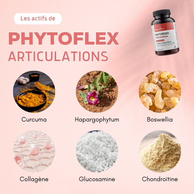 Complément Alimentaire Articulation - PhytoFlex │ Nutristore