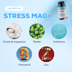 Achat Pack Cognition — Équilibre (Oméga-3 poissons)