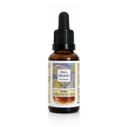 Achat Reishi bio (Ganoderma lucidum) 30 ml | Extrait français Villa Hélène
