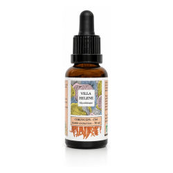 Achat Cordyceps bio (Cordyceps sinensis) 30 ml | Extrait français Villa Hélène