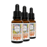 Cordyceps bio - 30 ml - Lot de 3 flacons
