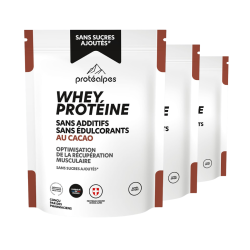 Achat Whey protéine isolat - Goût cacao – SANS SUCRES AJOUTÉS – Lot de 3 flacons