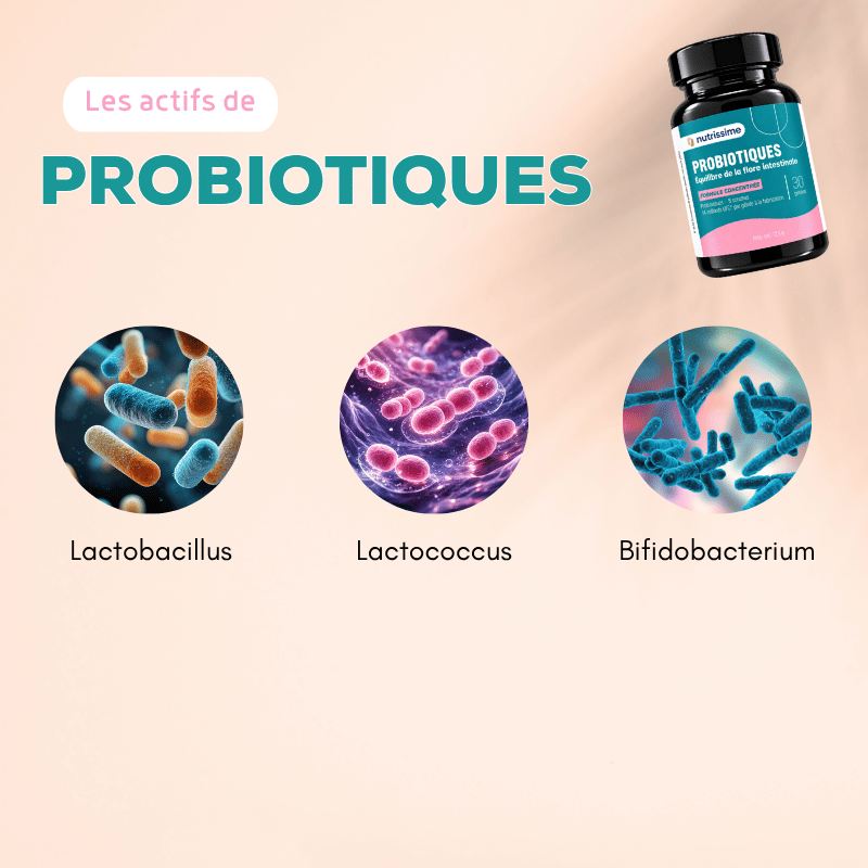 Probiotiques - Équilibre de la flore intestinale - 8 souches - Complément alimentaire