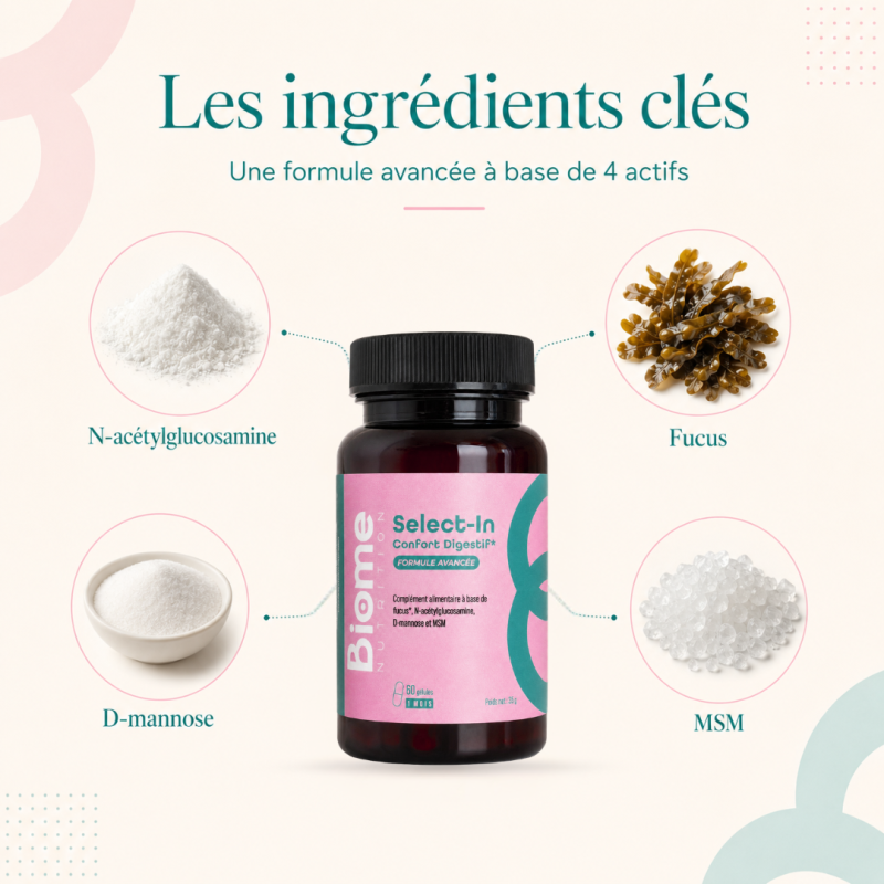 Achat Pack digestion - (Select In & Probiotiques)