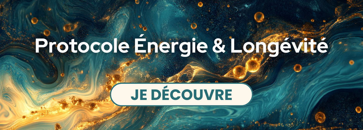 Protocole Énergie & longévité