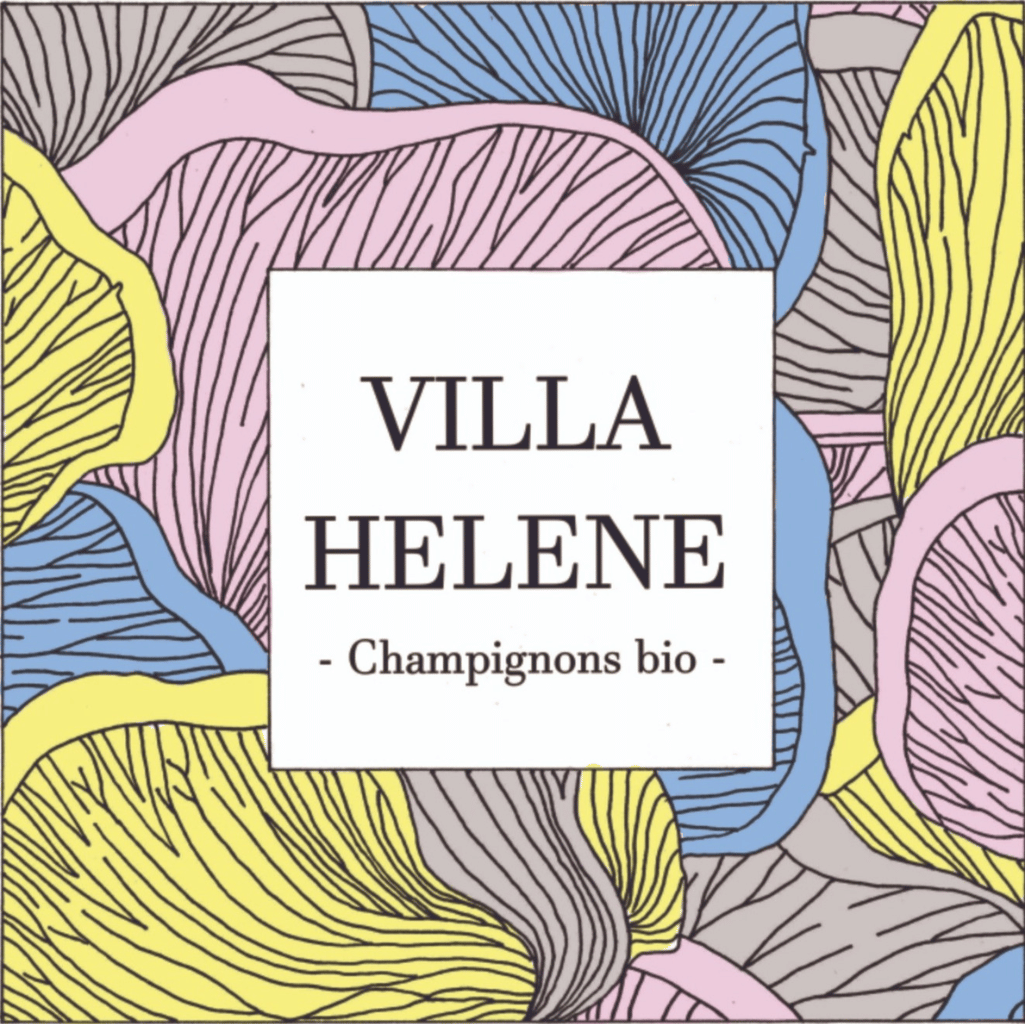 Villa Helene