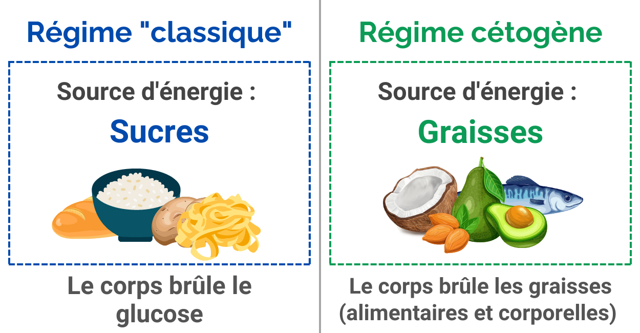 Différence régimes