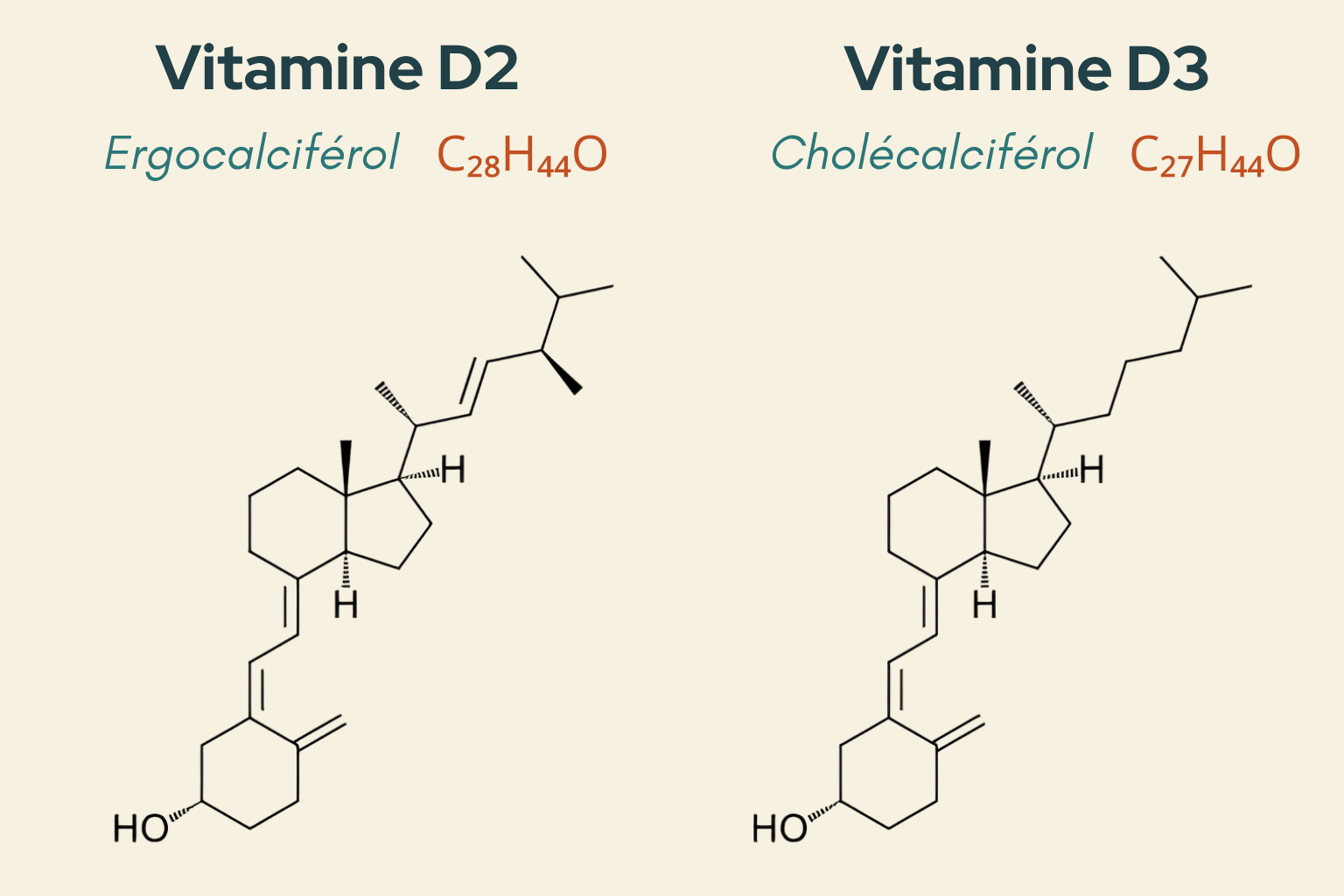 Vitamine D2 vs vitamine D3 molecules science 2.png
