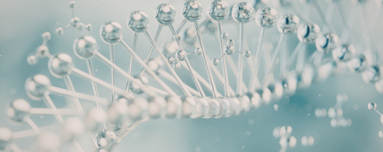 Zinc : Rôles, sources et dosages