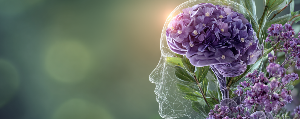 Nootropiques : mon parcours, du brouillard mental au guide pratique pour mieux fonctionner