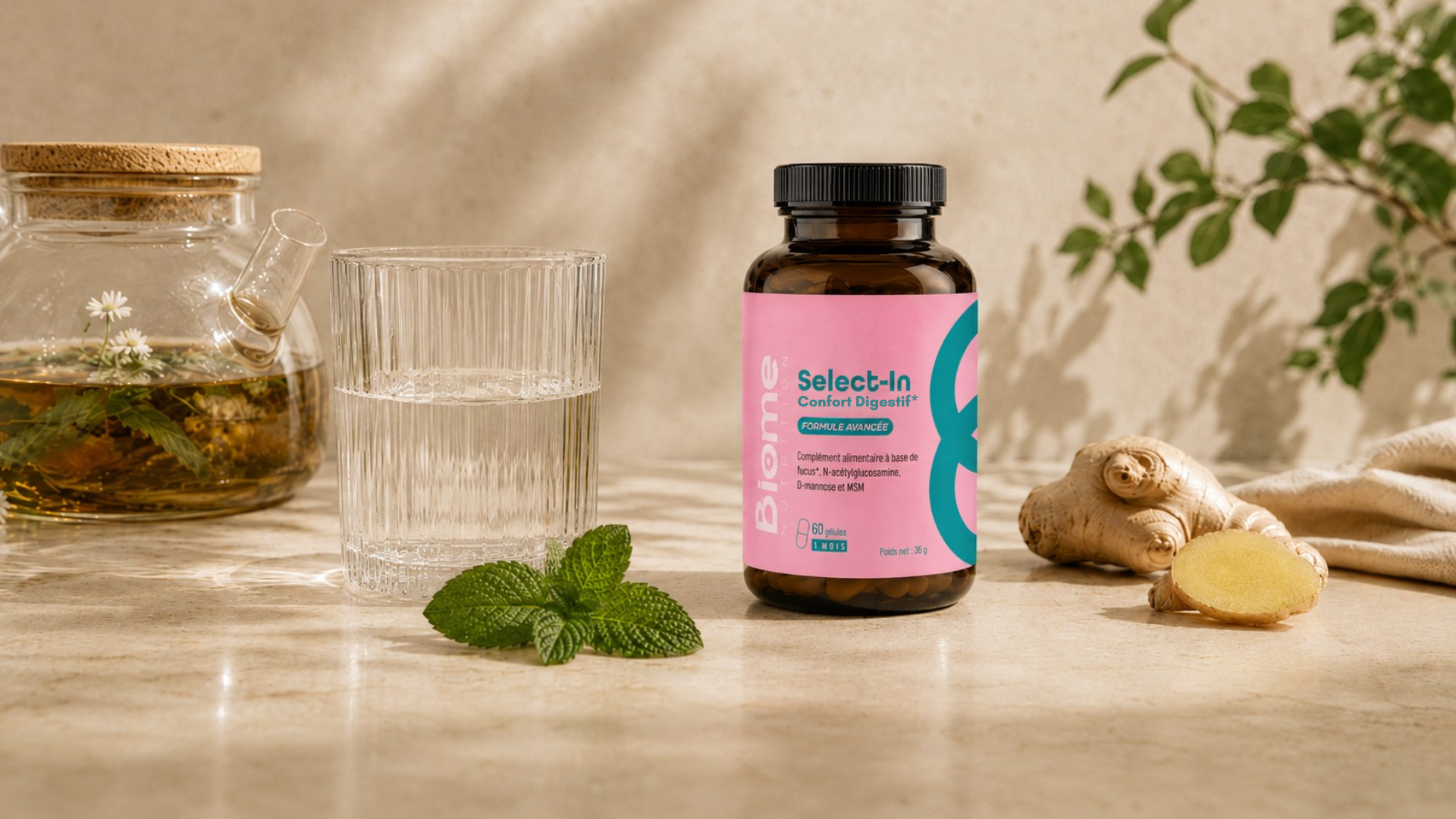 Nouveauté : Select-In Confort Digestif